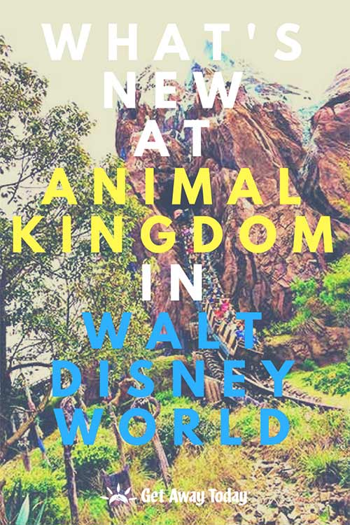 What's New at Animal Kingdom in Walt Disney World